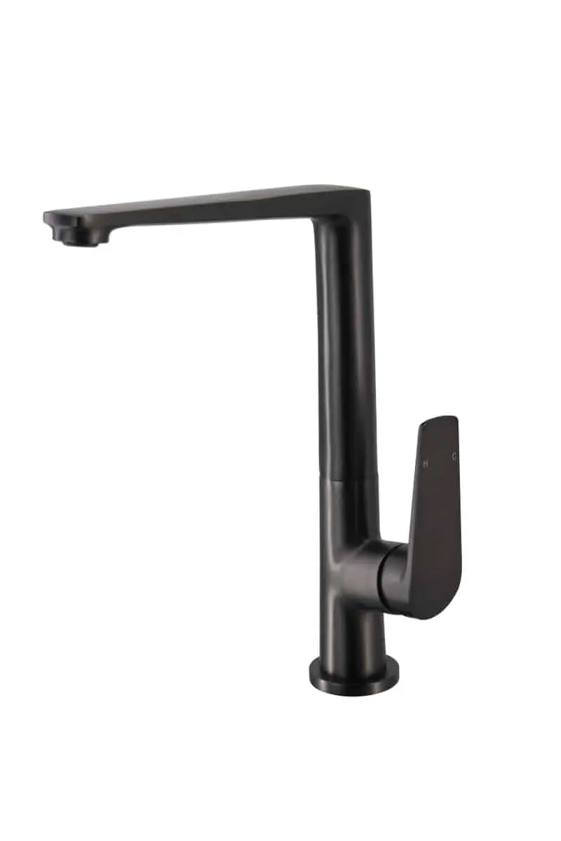EXON Kitchen Sink Mixer with Swivel Spout
