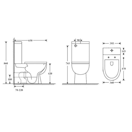CHICAGO Toilet Suite Rimless Back to Wall - Nano Glazed