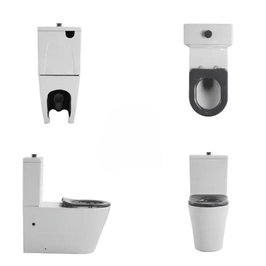 CARELOO Disabled Rimless Back to wall Toilet Suite