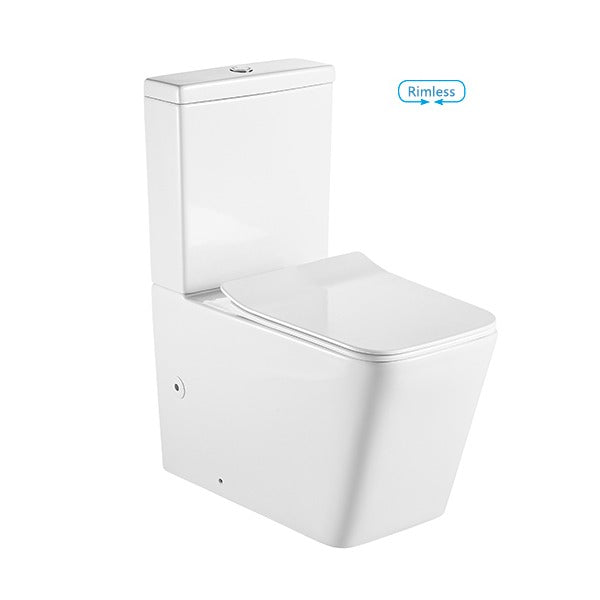 CASERTA Back To Wall Toilet Suite