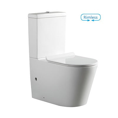 CORTONA Back To Wall Toilet Suite-2 Color's Available