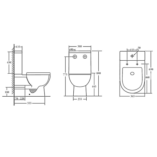 Toilet Suite Rimless Back to Wall  - Nano Glazed BB1001