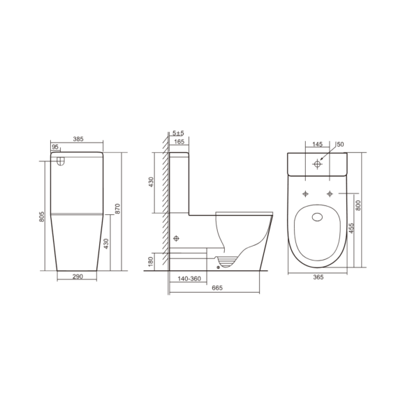 CARELOO Disabled Rimless Back to wall Toilet Suite