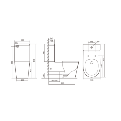 CARELOO Disabled Rimless Back to wall Toilet Suite